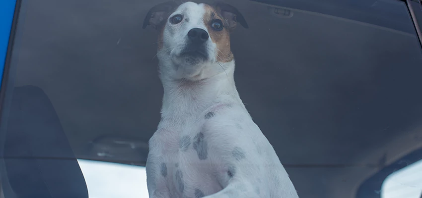 Car Lockout Solutions in Vista, California