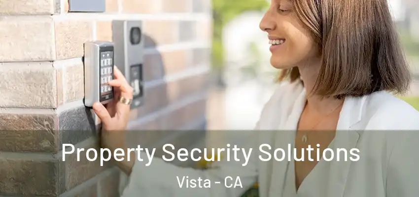  Property Security Solutions Vista - CA